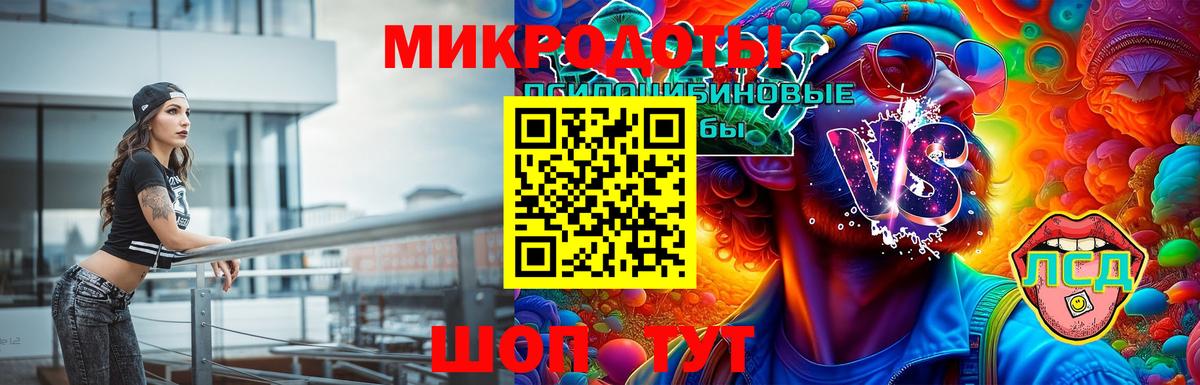 Галлюциногенные грибы MAGIC MUSHROOMS  Вход с VPN  Галлюциногенные грибы Psilocybine cubensis  Россия 