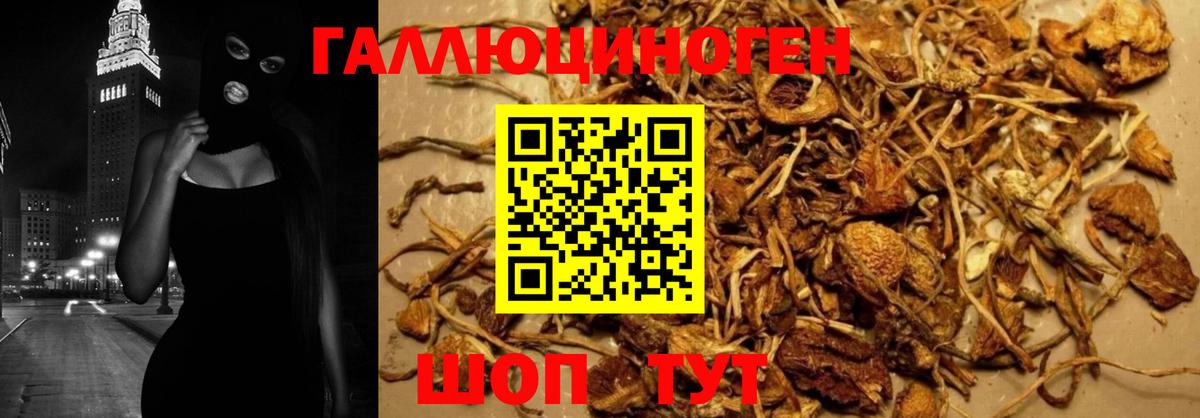 Галлюциногенные грибы Magic Shrooms Россия